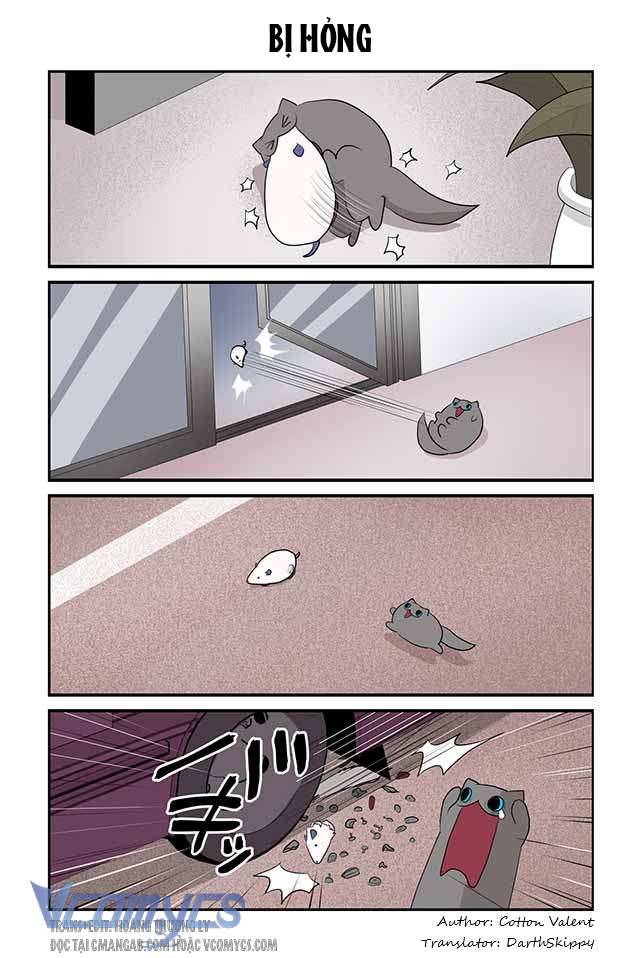 Creepy Cat 360 - Trang 2