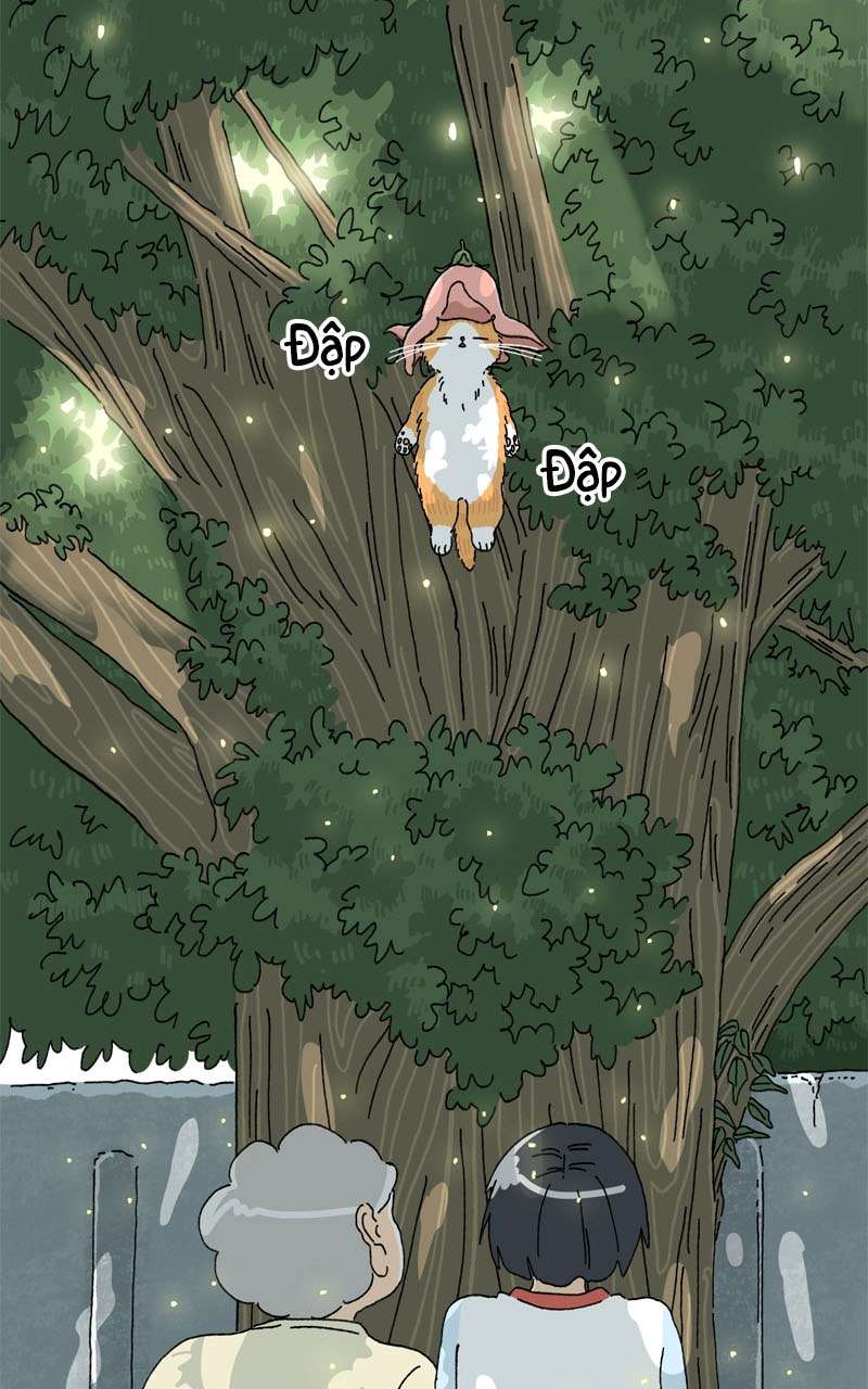 Chú Mèo Tata Chapter 2 - Trang 3