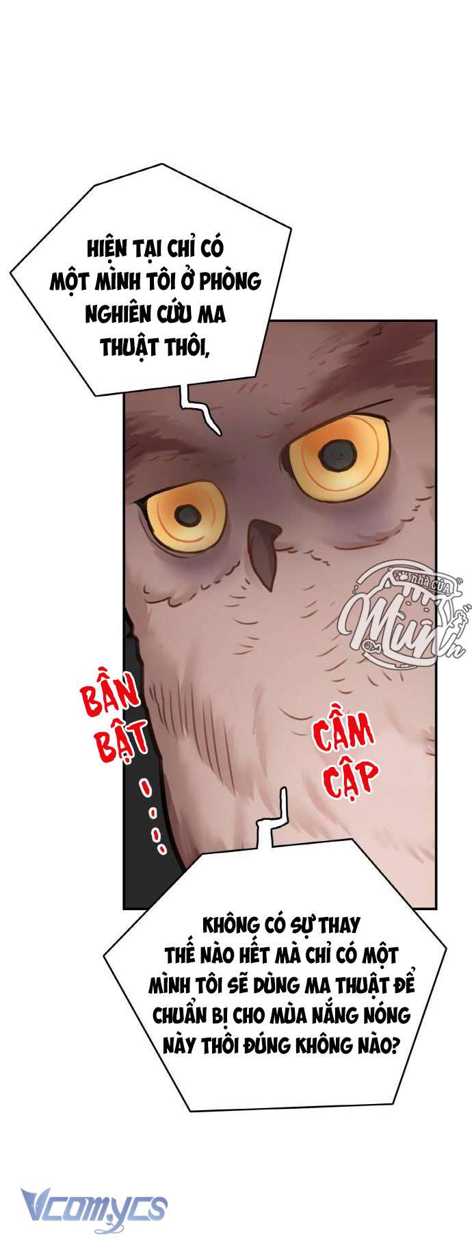 Nhật Ký Tuần Trăng Mật Của Phù Thủy Và Rồng Chapter 49 - Trang 4