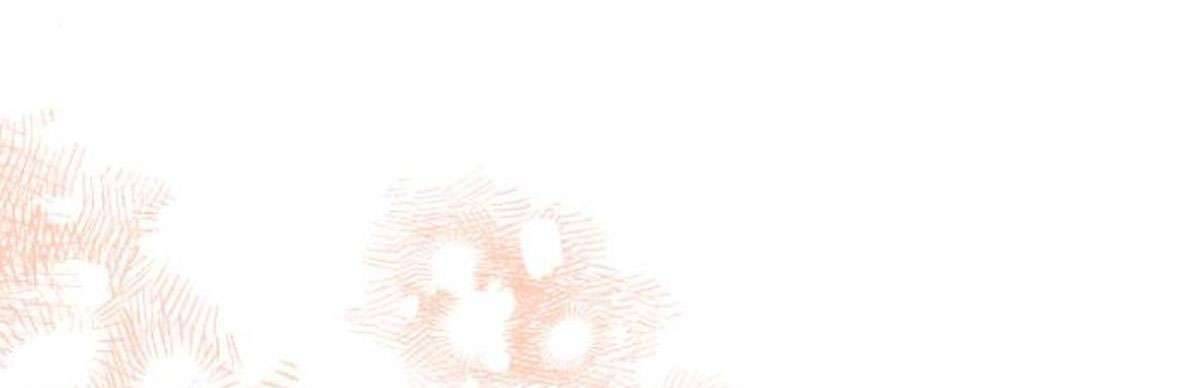 Tôi Tưởng Đó Chỉ Là Tiểu Thuyết Trọng Sinh Bình Thường Chapter 41 - Trang 4