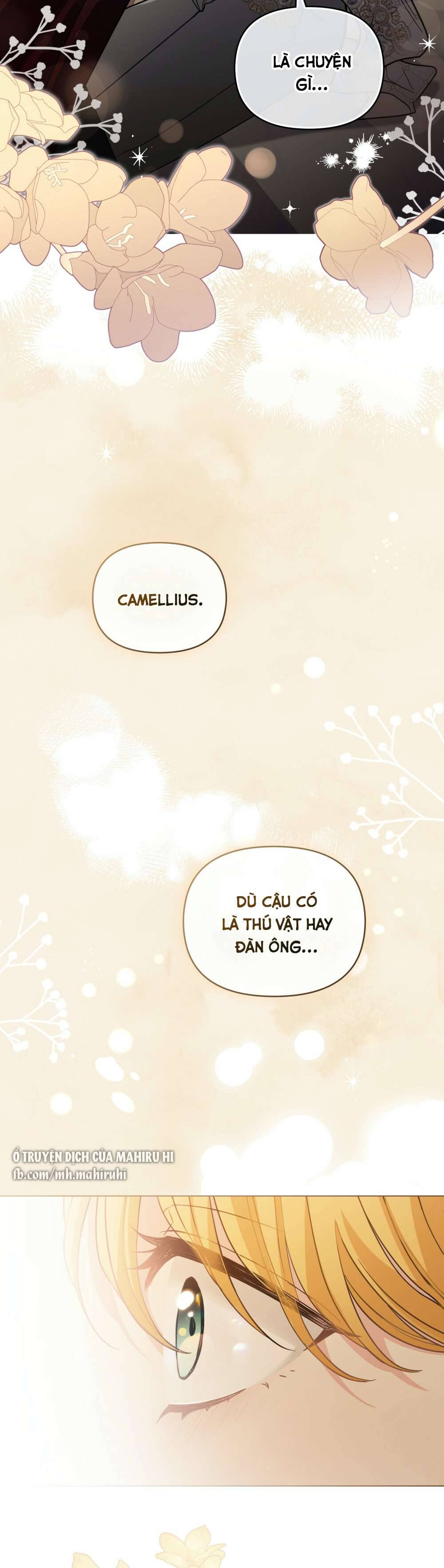 Tìm Lại Camellia Chapter 61 - Trang 4