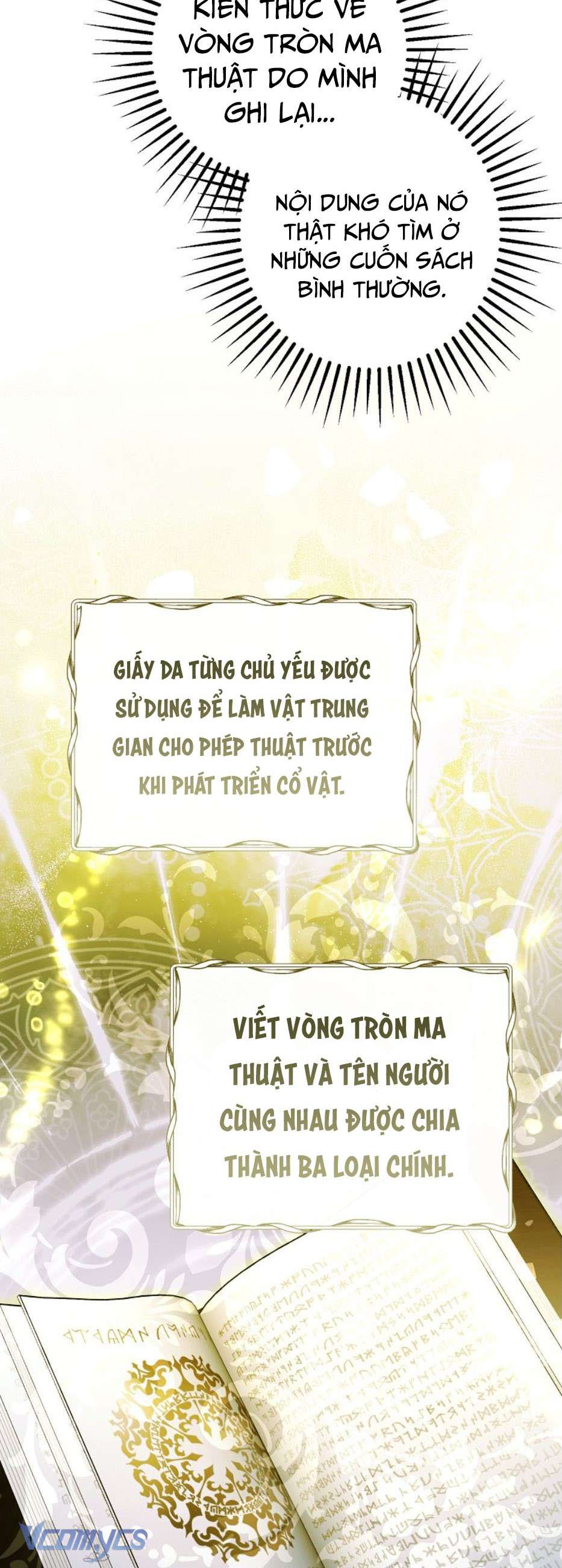 Các Nam Chính Đã Bị Nữ Phụ Cướp Mất Chap 34 - Trang 3