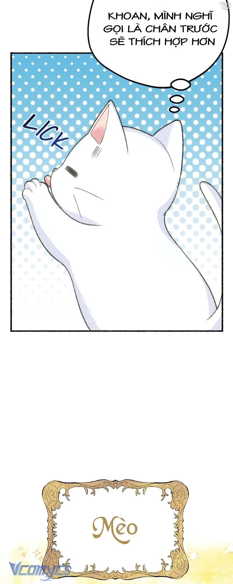 Trở Thành Chú Mèo Ngủ Cùng Bạo Chúa Chapter 1 - Trang 3