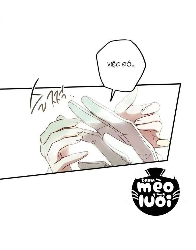 Tôi Đã Bảo Nữ Chính Đang Cải Trang Cơ Mà! Chap 16 - Trang 2