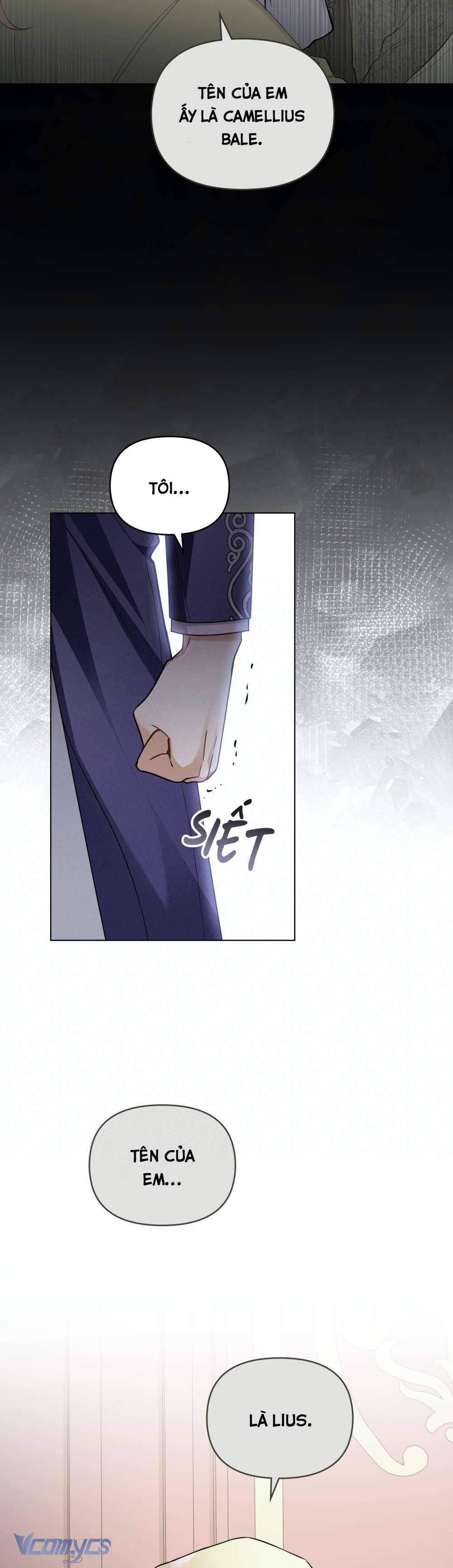 Tìm Lại Camellia Chapter 83 - Trang 4