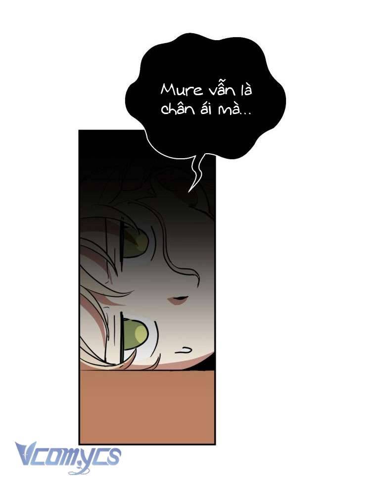 Điều Ước Sao Băng Chap 2 - Trang 4