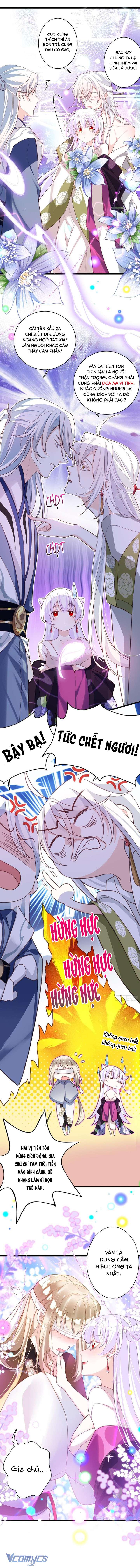 Ba Ngàn Sủng Của Hải Vương Nãi Nãi Chap 2 - Trang 2