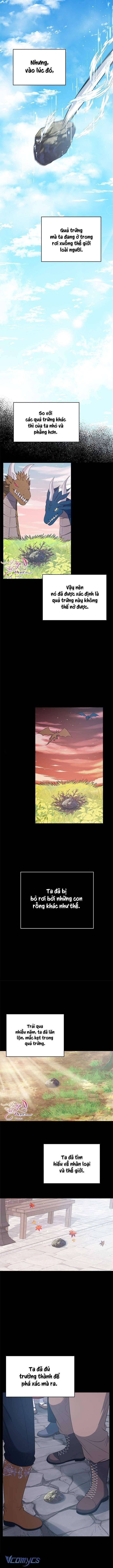 Ác Long Sống Làm Gì Cơ Chứ? Chap 12 - Trang 3