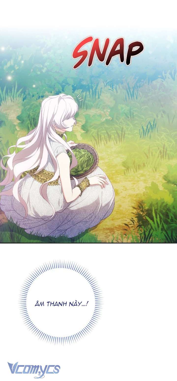 Nàng Công Chúa Trong Chuồng Gà Chap 1 - Trang 4