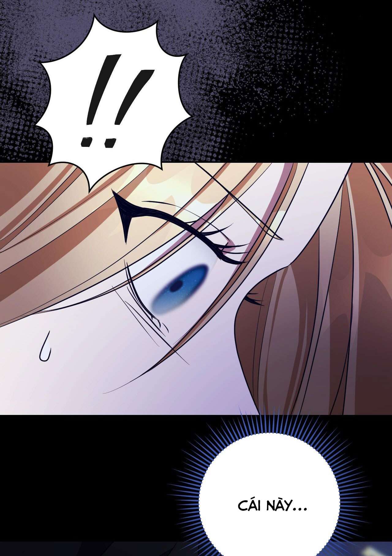 Thánh Nữ Giả Muốn Bỏ Trốn Chap 27 - Trang 4