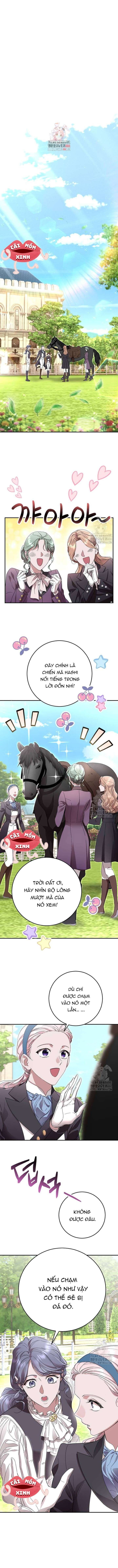 Cuộc Hôn Nhân Bị Bắt Cóc Xuyên Thời Gian Của Hoàng Hậu Chap 11 - Next Chap 12