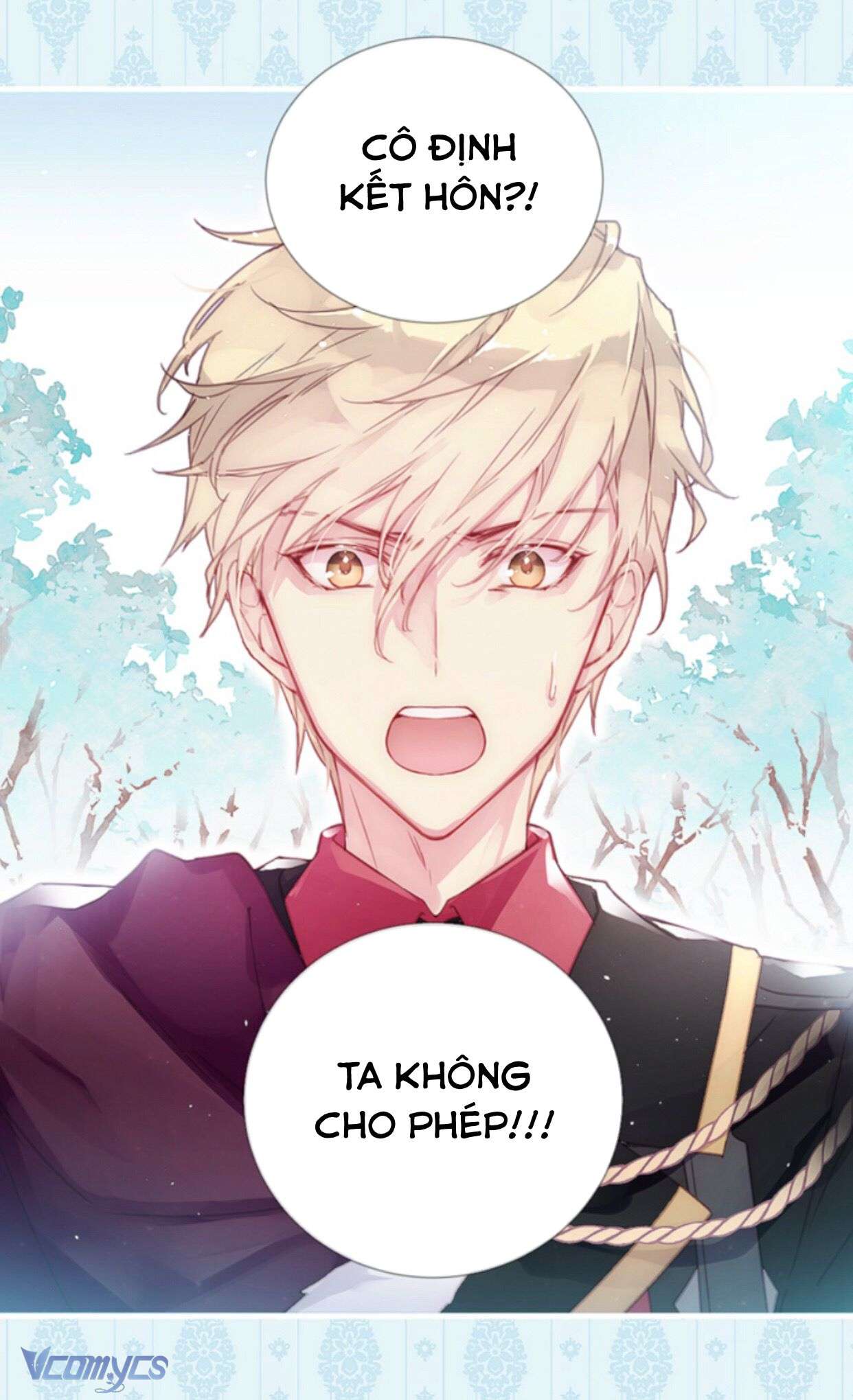 Chợ Review Nhà Họ Hoàng Chap Đuôi - Trang 2