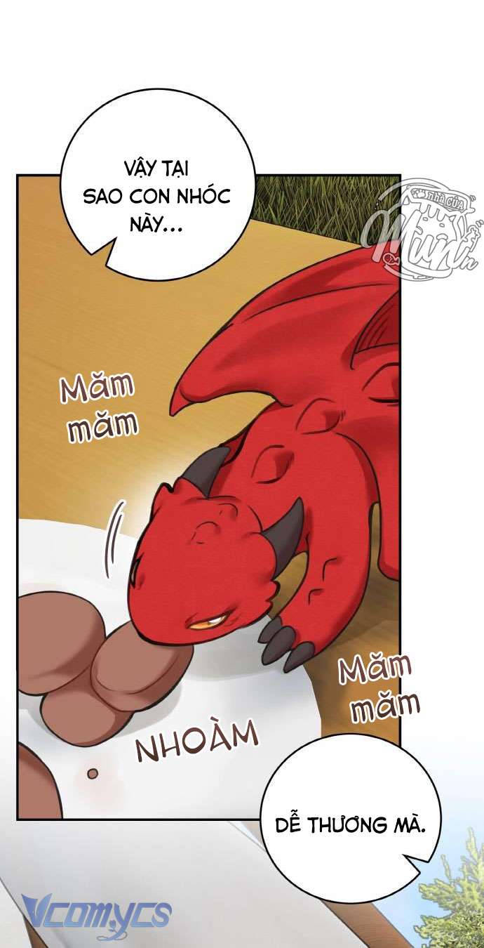 Nhật Ký Tuần Trăng Mật Của Phù Thủy Và Rồng Chapter 52 - Trang 4