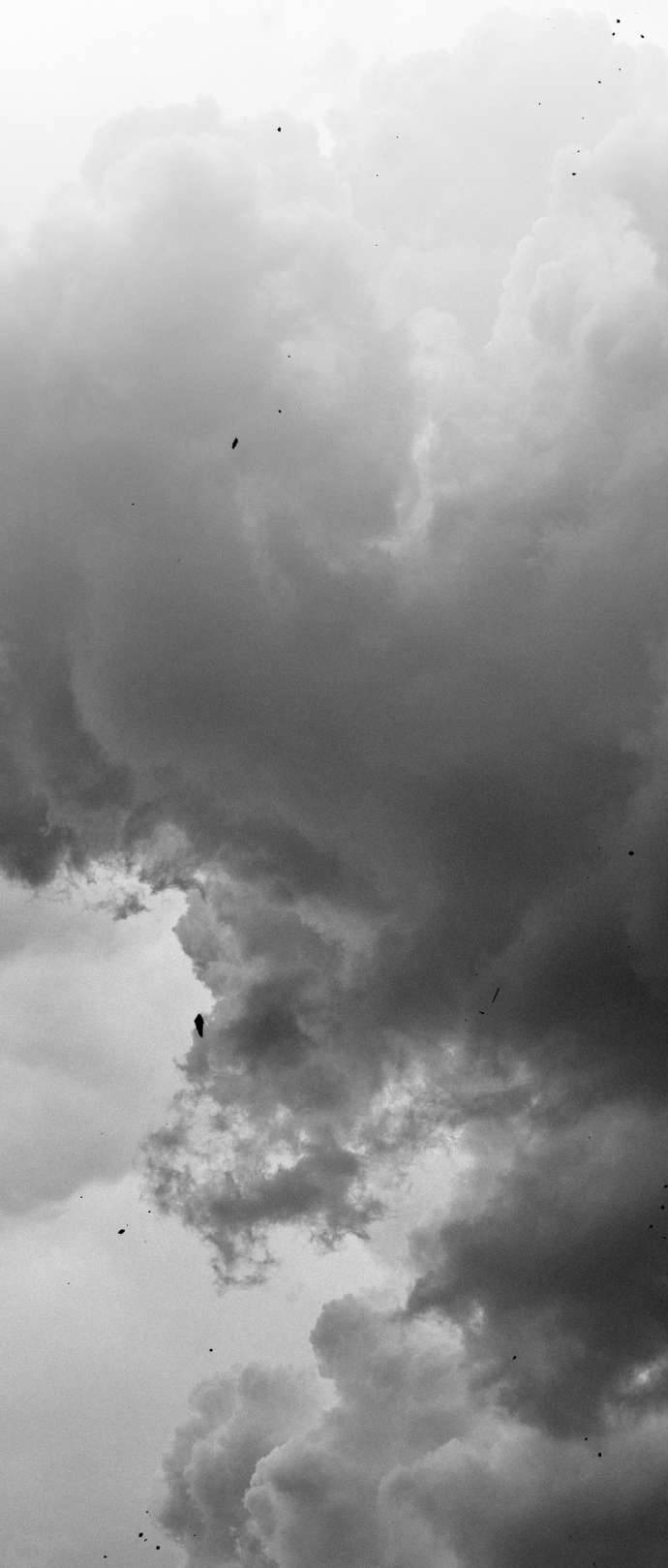 Lời Thú Nhận Của Chúa Tể Bóng Tối Chapter 98 - Trang 4