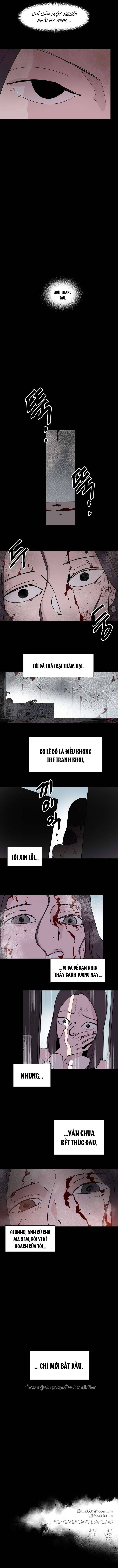 Yêu Không Hồi Kết Chap 51 - Trang 2