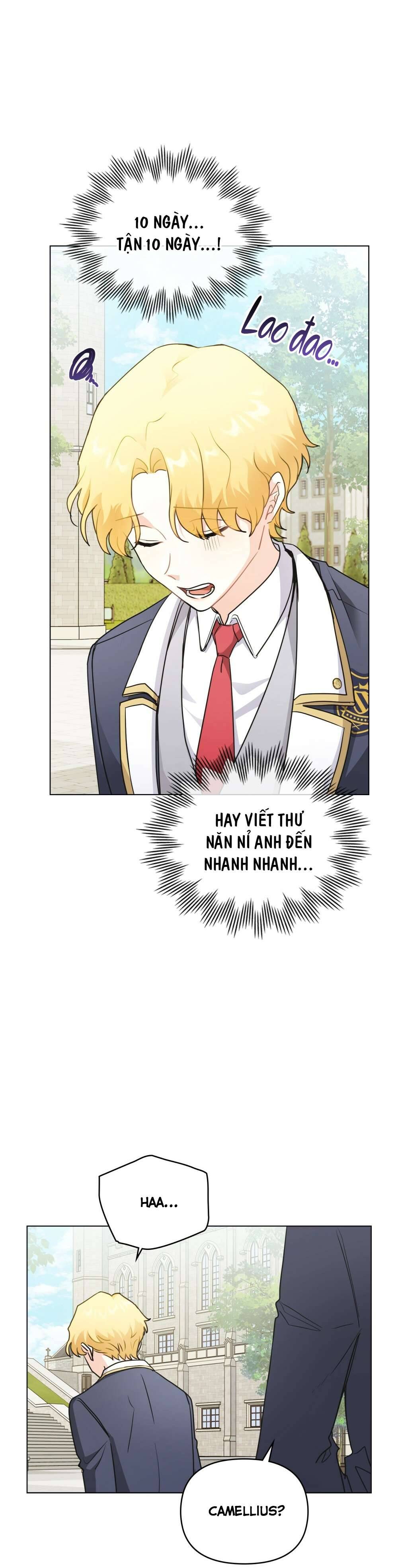 Tìm Lại Camellia Chapter 36 - Trang 4