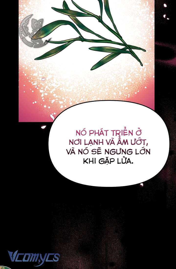 Gia Chủ Bé Con Muốn Nghỉ Hưu Chap 48 - Trang 2