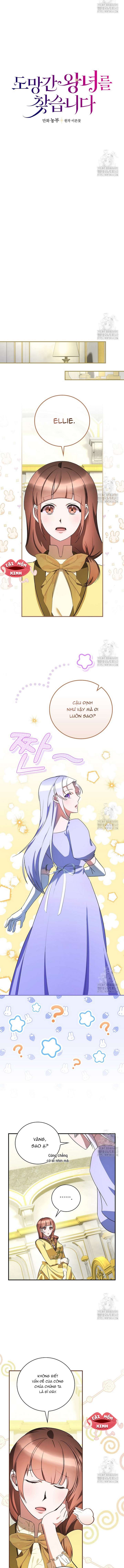 Đi Tìm Nàng Công Chúa Bỏ Trốn Chap 8 - Trang 4