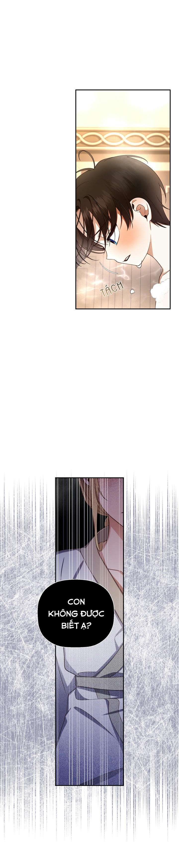 Phương Pháp Che Giấu Đứa Con Của Hoàng Đế Chapter 20 - Trang 4