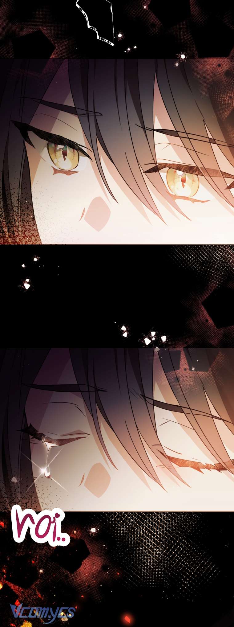 Quý Tộc Gì Chứ, Tôi Chỉ Muốn Về Nhà Chap 6 - Trang 2