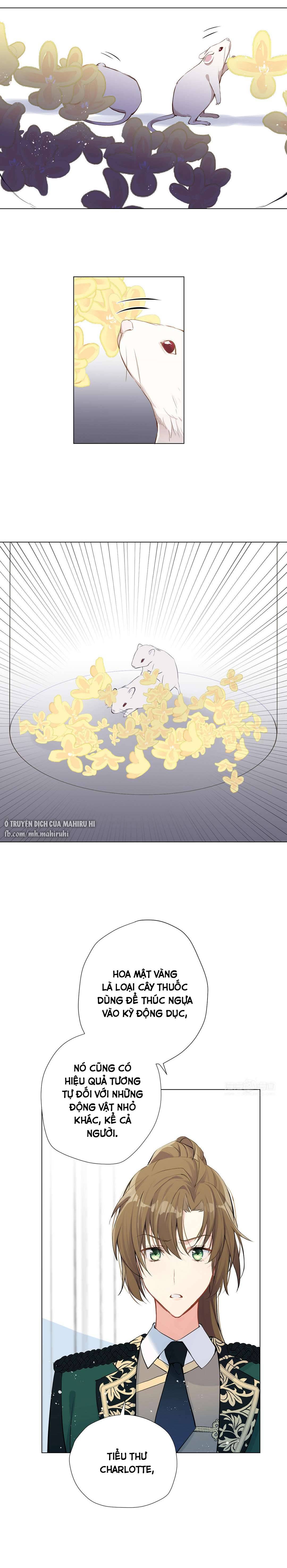 Đại Chiến Công Chúa Chapter 40 - Trang 4