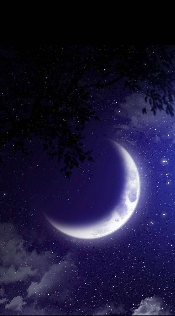 Vương Tử Huyền Bí Chapter 32 - Trang 4