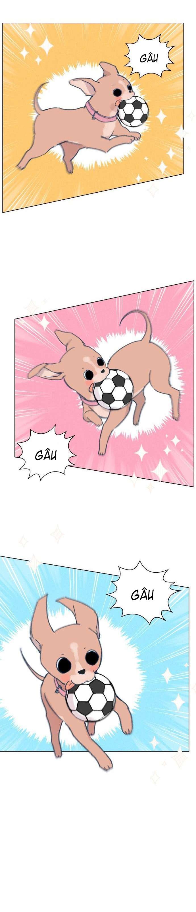 Bầu Trời Mùa Hạ Dấu Yêu Chapter 4 - Trang 4