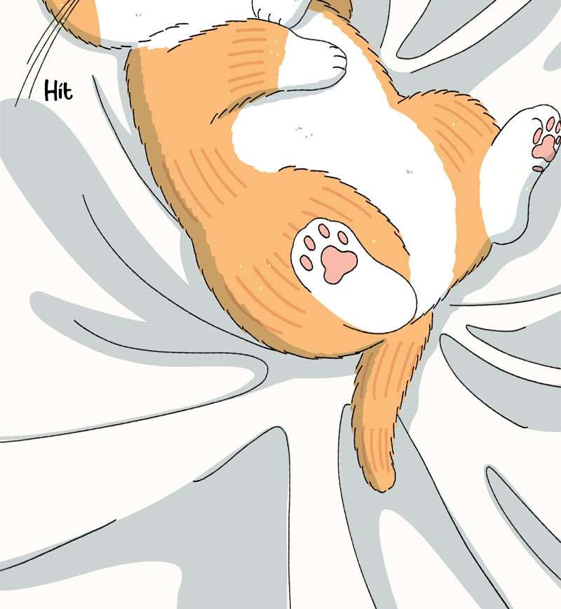 Chú Mèo Tata Chapter 2 - Trang 3