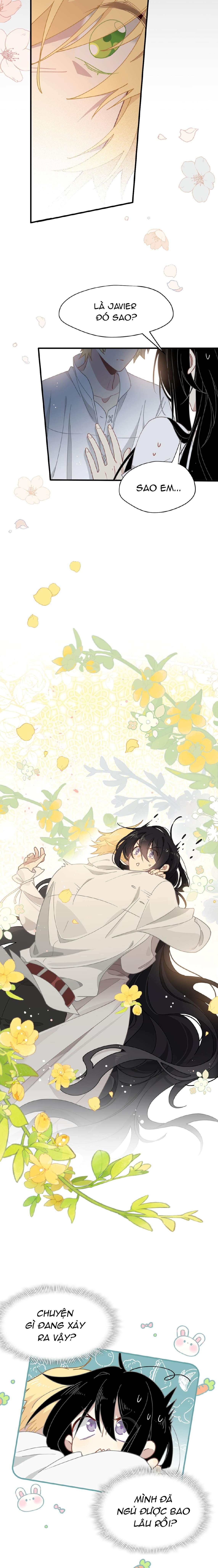 Xuyên thành phù thủy nuôi dưỡng kỵ sĩ thánh điện Chap 49 - Trang 4