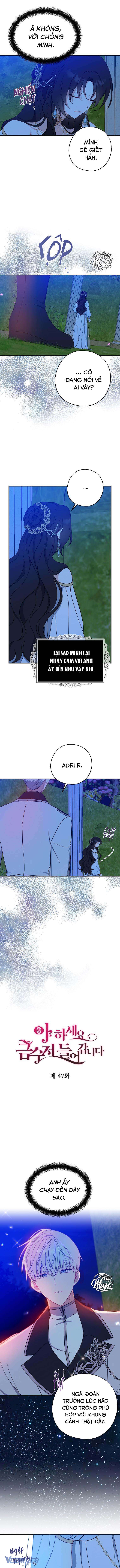 A Nào, Ngậm Thìa Vàng Nhé? Chap 47 - Trang 3