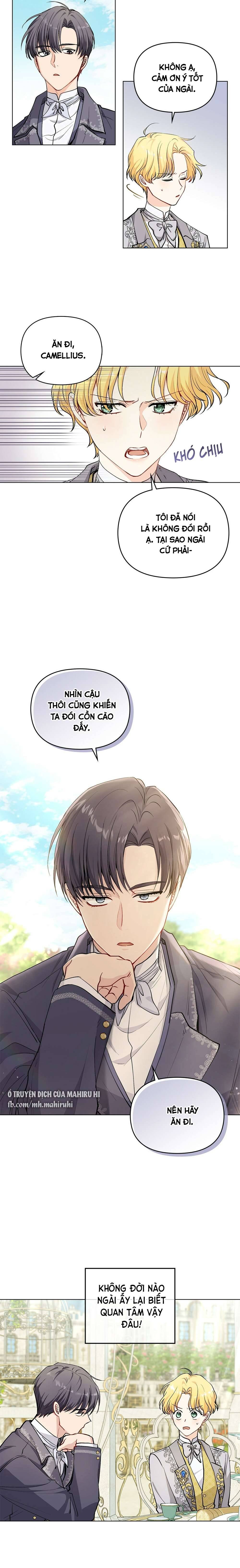 Tìm Lại Camellia Chapter 13 - Trang 4
