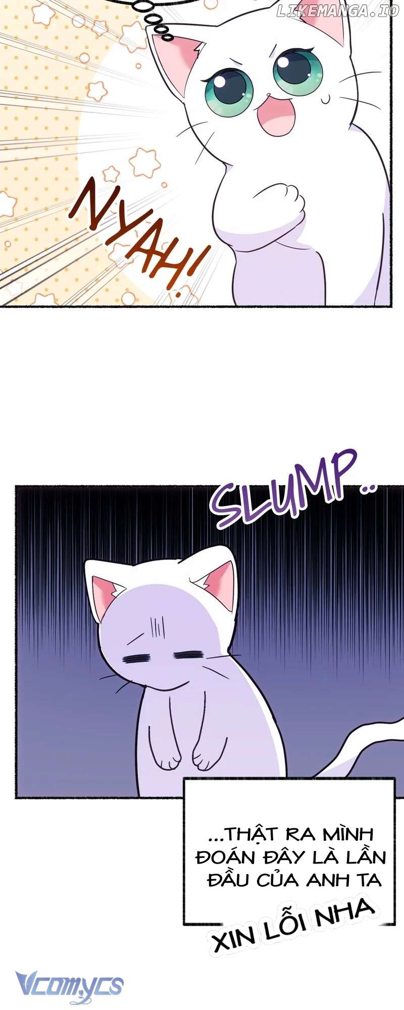 Trở Thành Chú Mèo Ngủ Cùng Bạo Chúa Chapter 4 - Next Chapter 5