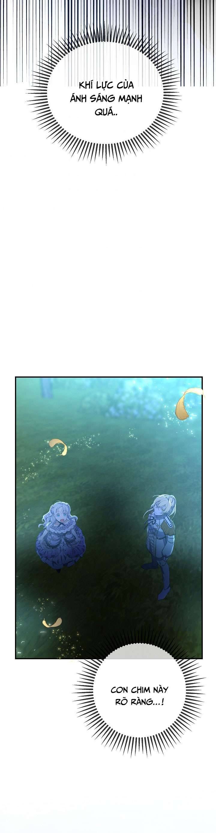 Lại Một Lần Nữa Hướng Về Ánh Sáng Chap 43 - Next Chap 44