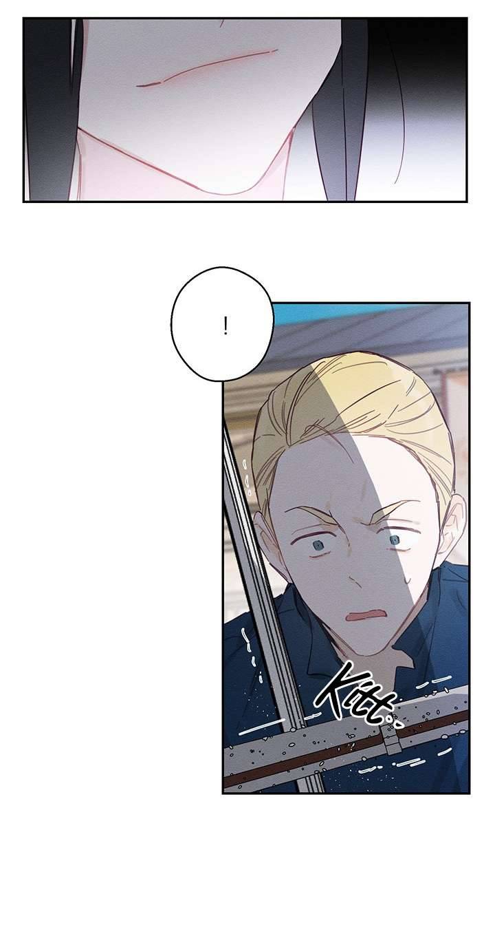 Trước Tiên Phải Giấu Em Trai Cái Đã! Chap 16 - Trang 2