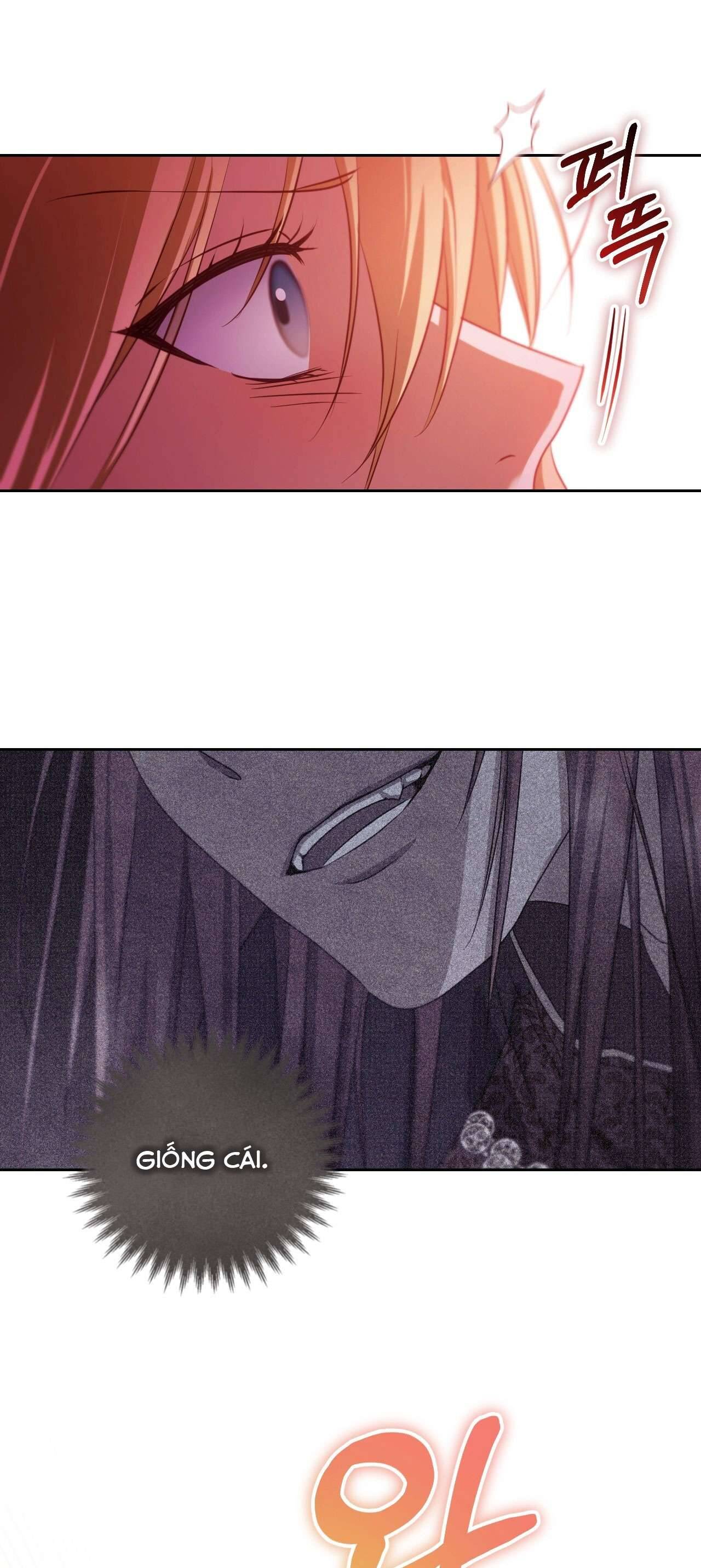 Thánh Nữ Giả Muốn Bỏ Trốn Chap 33 - Trang 4