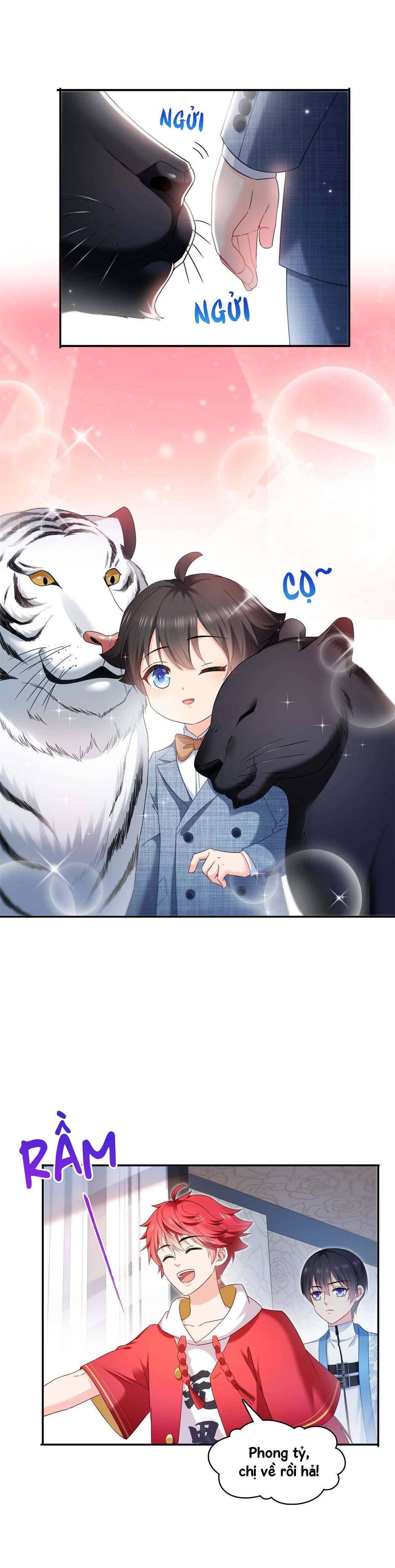 Hệt Như Hàn Quang Gặp Nắng Gắt Chap 321 - Trang 4