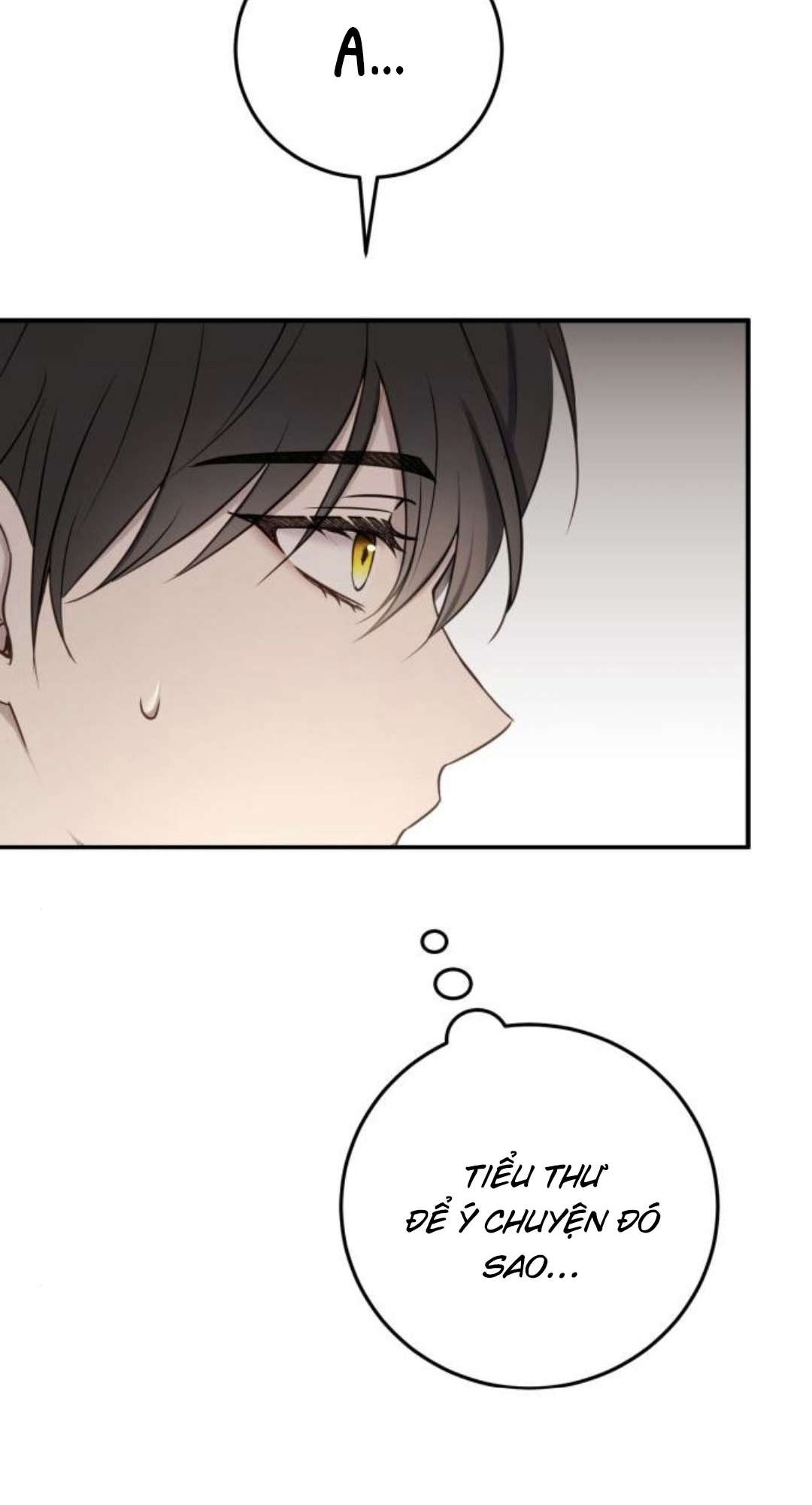 Ác Nữ Chỉ Muốn Sống Yên Bình Chapter 26 - Trang 4