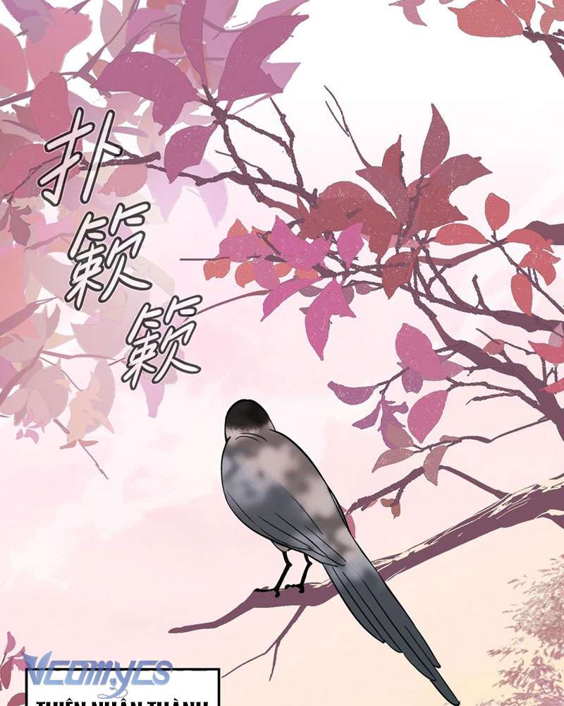 Ác Chi Hoàn Chapter 9 - Trang 4