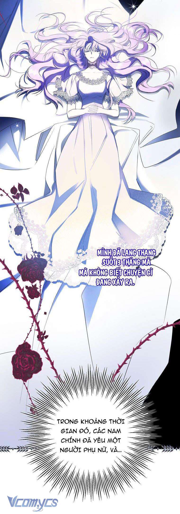 Các Nam Chính Đã Bị Nữ Phụ Cướp Mất Chap 2 - Trang 3