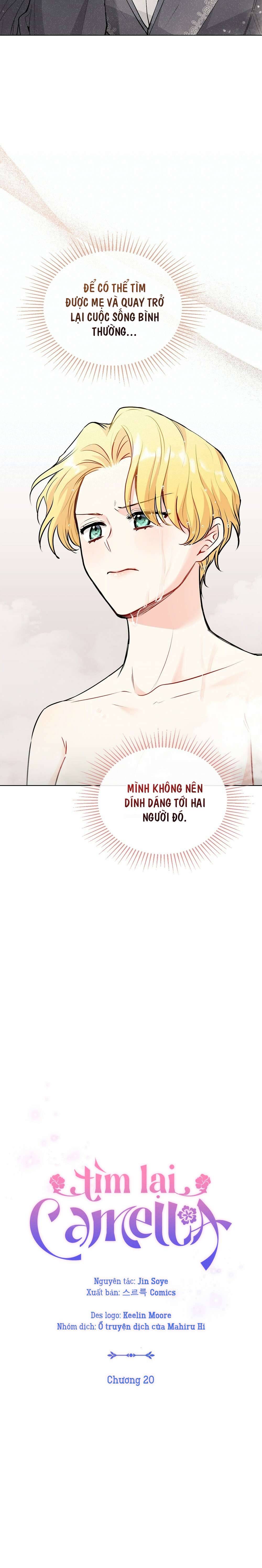 Tìm Lại Camellia Chapter 20 - Trang 4