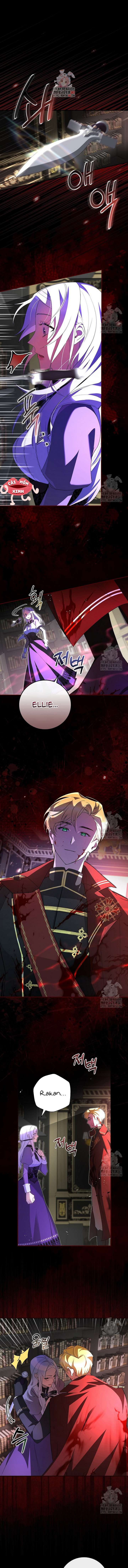 Đi Tìm Nàng Công Chúa Bỏ Trốn Chap 1 - Trang 4