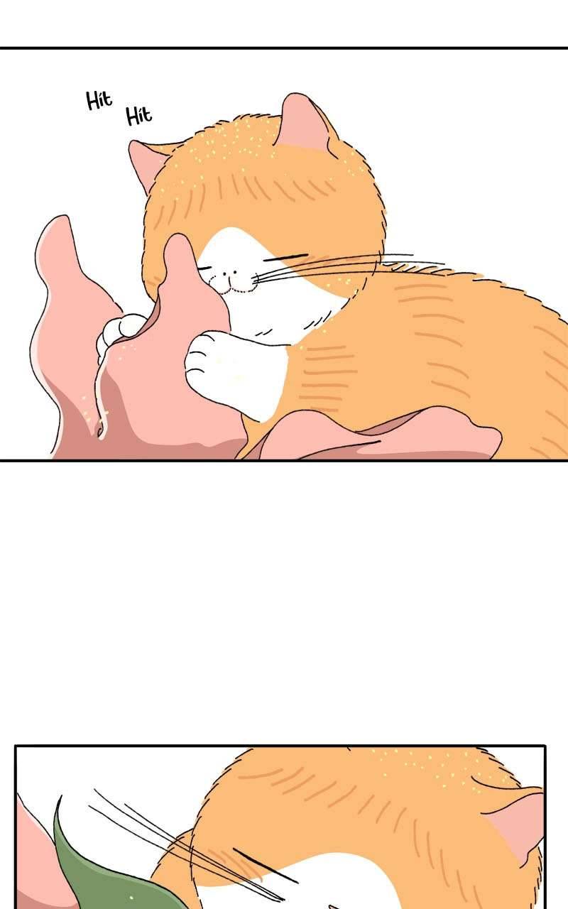 Chú Mèo Tata Chapter 3 - Trang 3