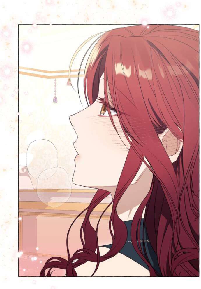 Tôi Tưởng Đó Chỉ Là Tiểu Thuyết Trọng Sinh Bình Thường Chap 28 - Trang 2