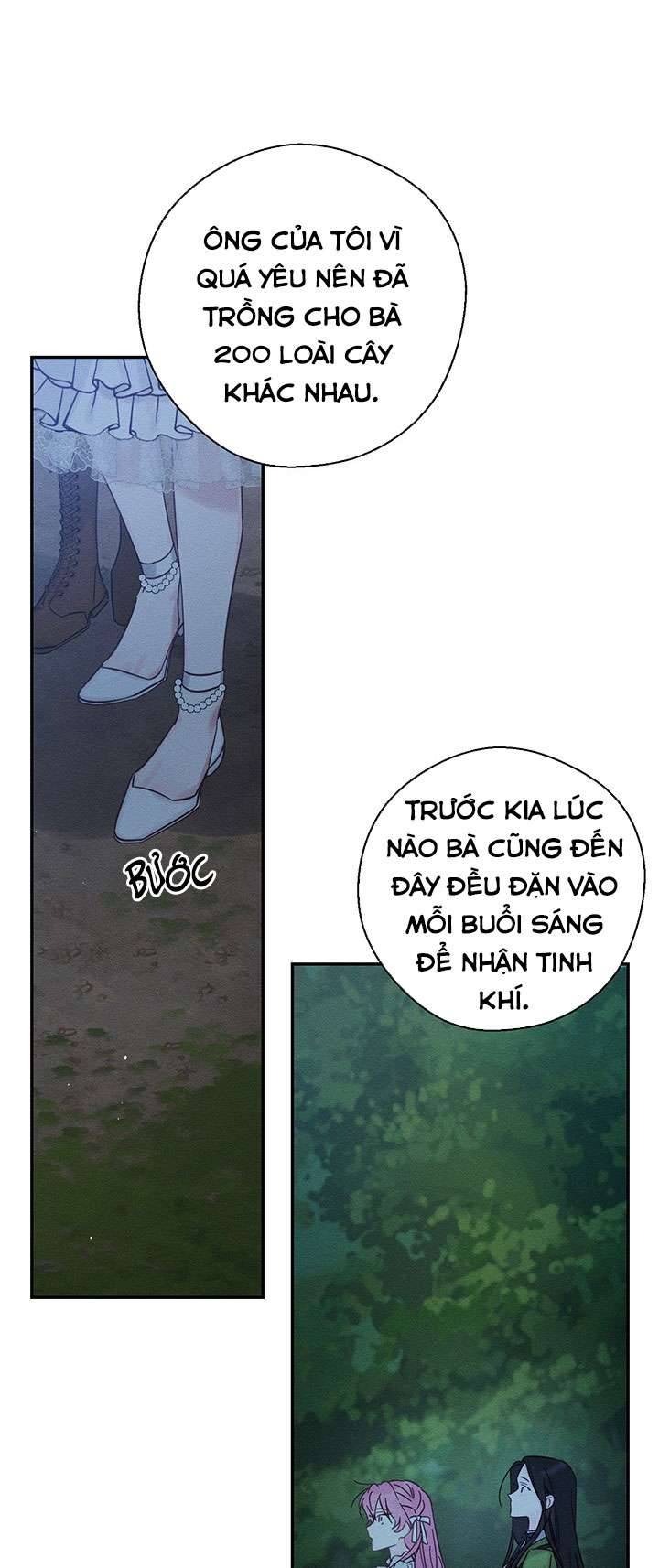 Trước Tiên Phải Giấu Em Trai Cái Đã! Chap 41 - Trang 2