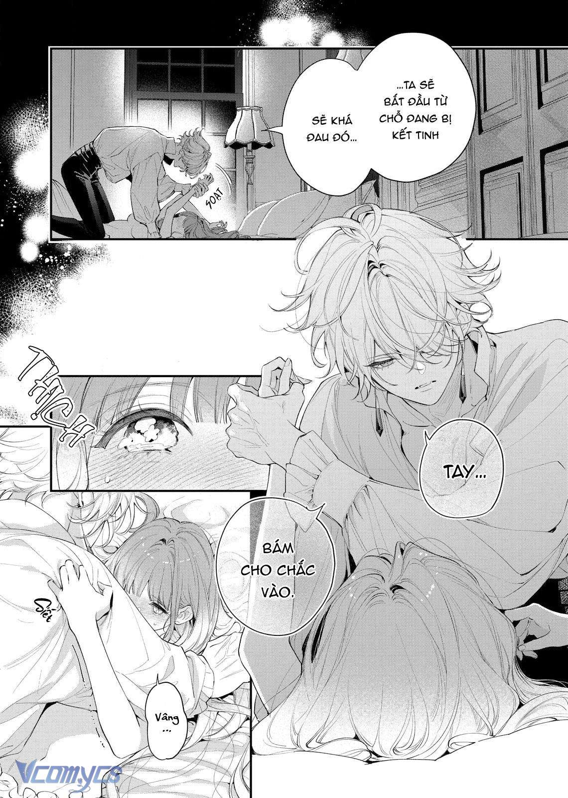 Hoa Hồng Ẩn Giấu Sao Băng Chapter 8 - Trang 4