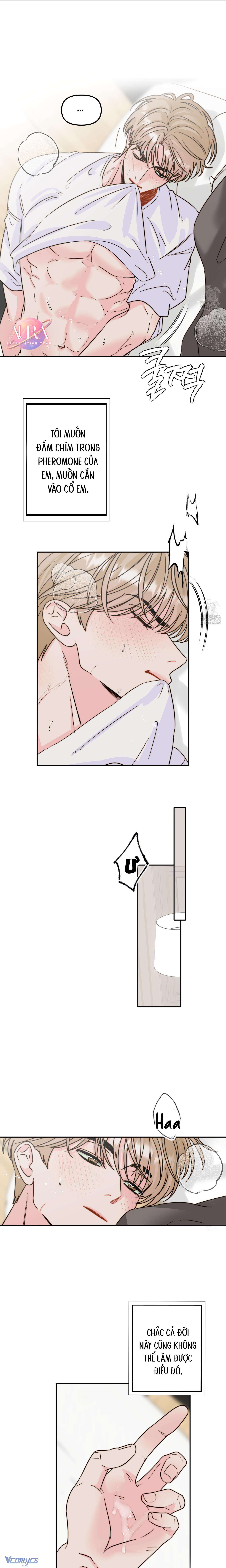 Tình Yêu Theo Mùa Dị Ứng Pheromone Chap 7 - Trang 2