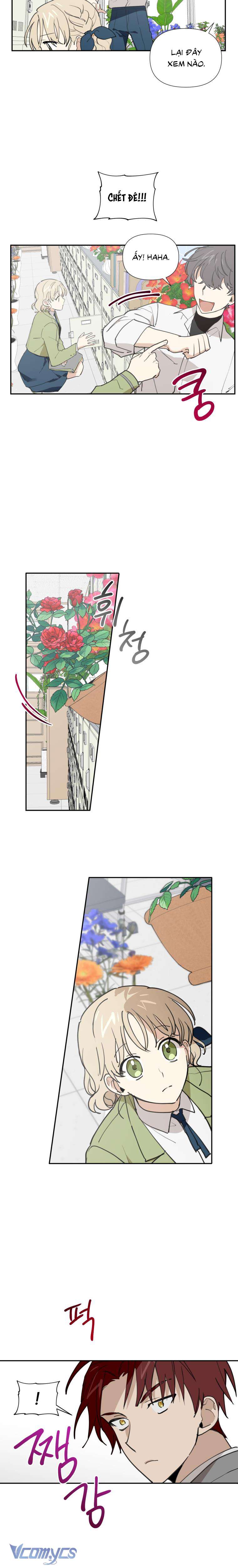 Điều Ước Sao Băng Chapter 9 - Trang 4