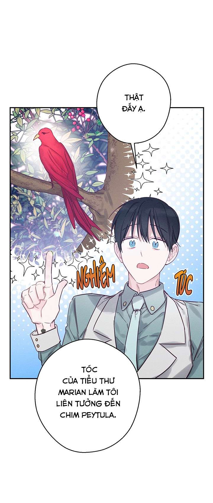 Trước Tiên Phải Giấu Em Trai Cái Đã! Chap 28 - Trang 2