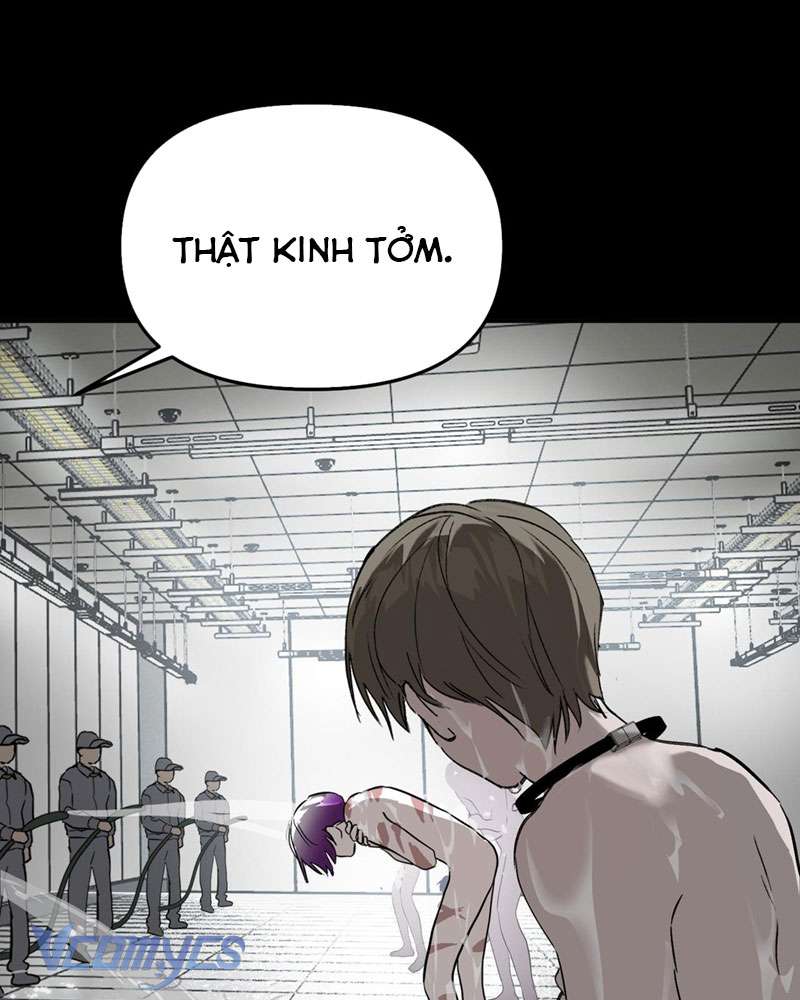 Ác Chi Hoàn Chapter 17 - Trang 4