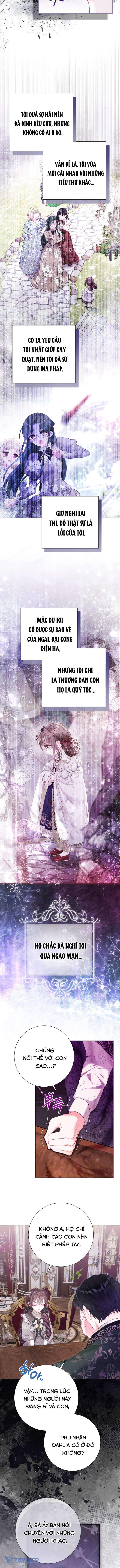 Một Thế Giới Không Có Chị Gái Mà Ai Cũng Yêu Chap 41 - Trang 4